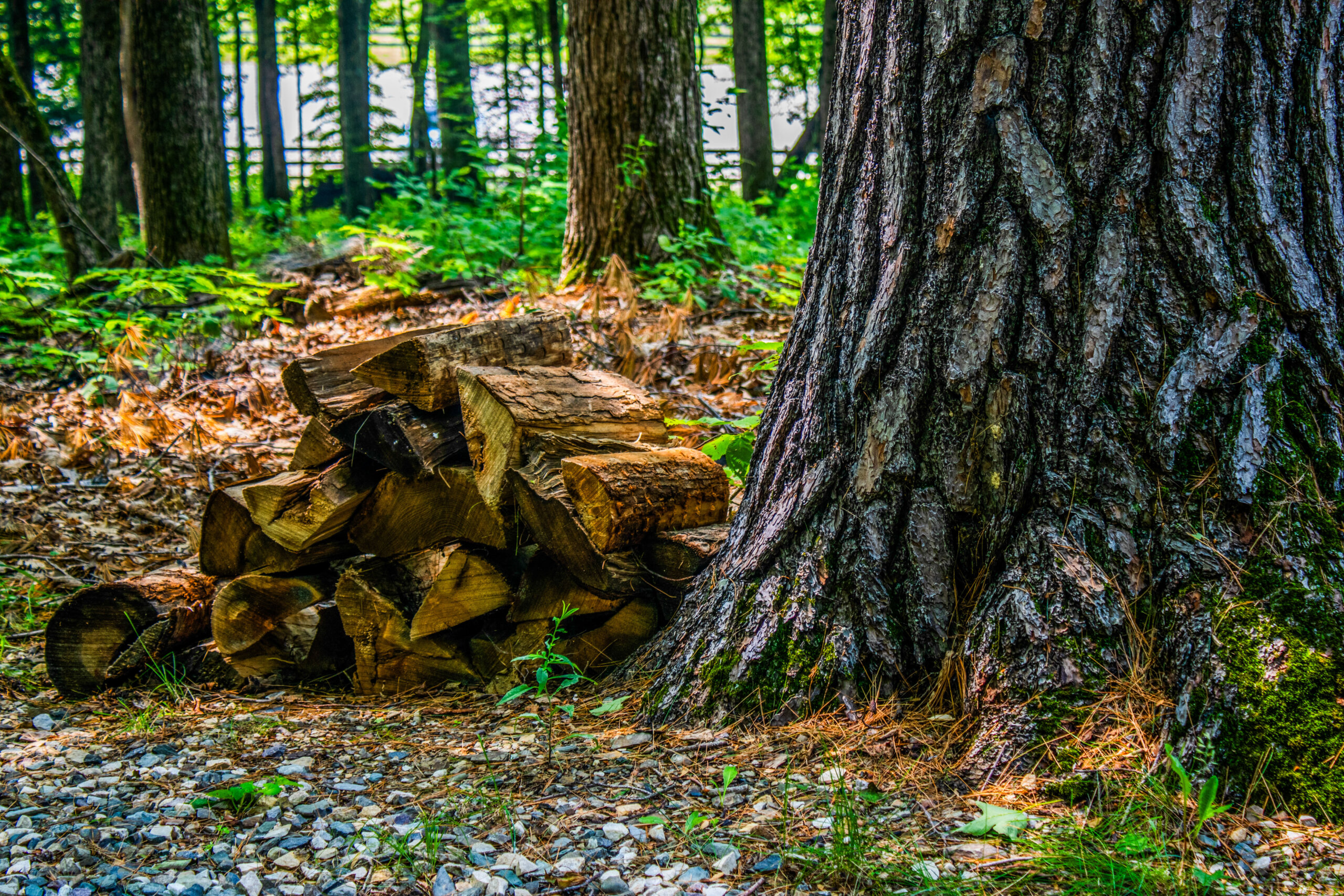 june-farms-cabins-lodge-gallery-14